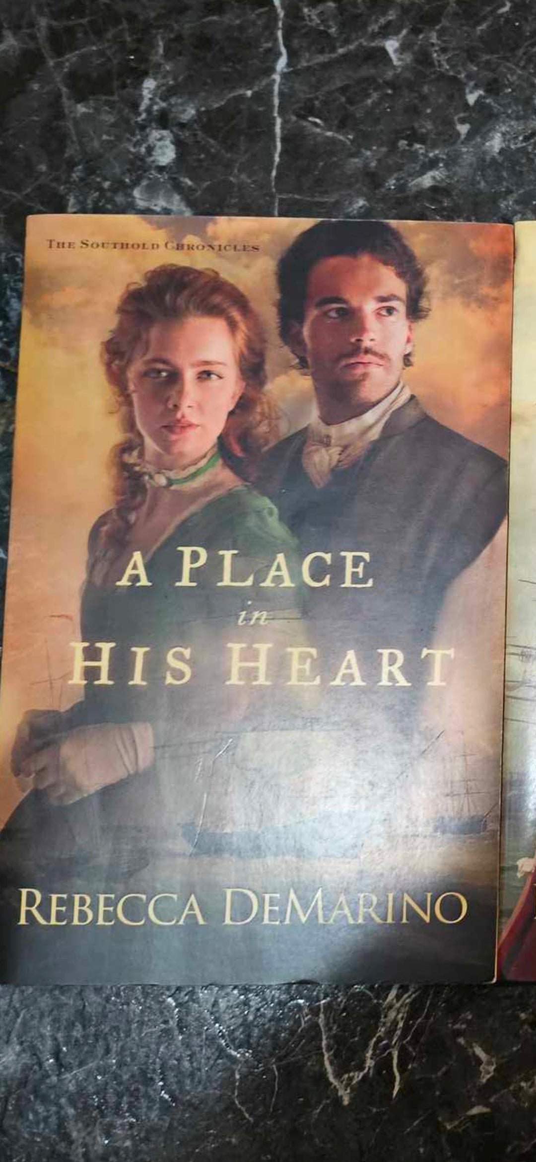A Place in His Heart
By: Rebecca DeMarino