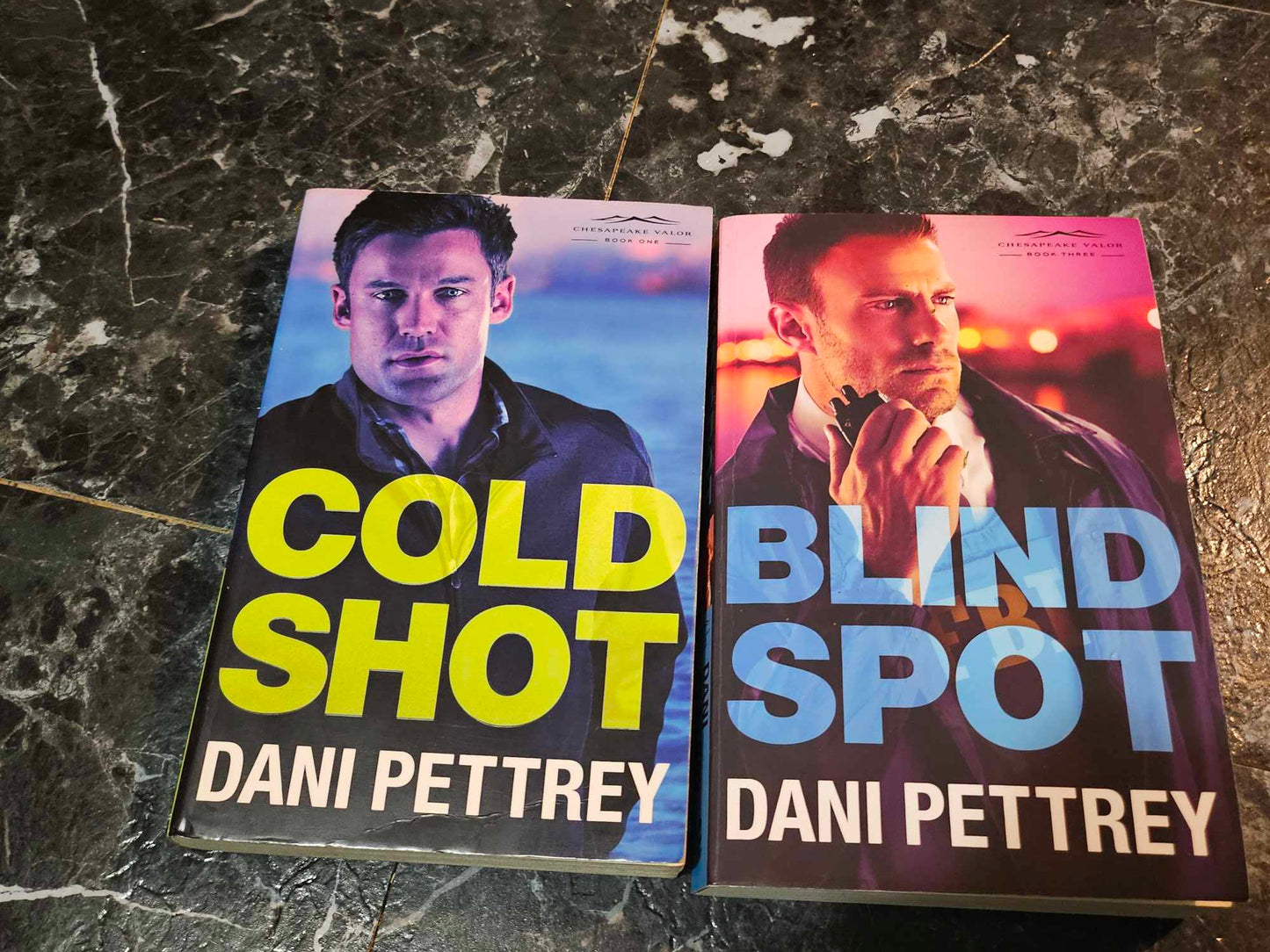 Dani Pettrey Lot of 2 Paperback Novels: Cold Shot and Blind Spot