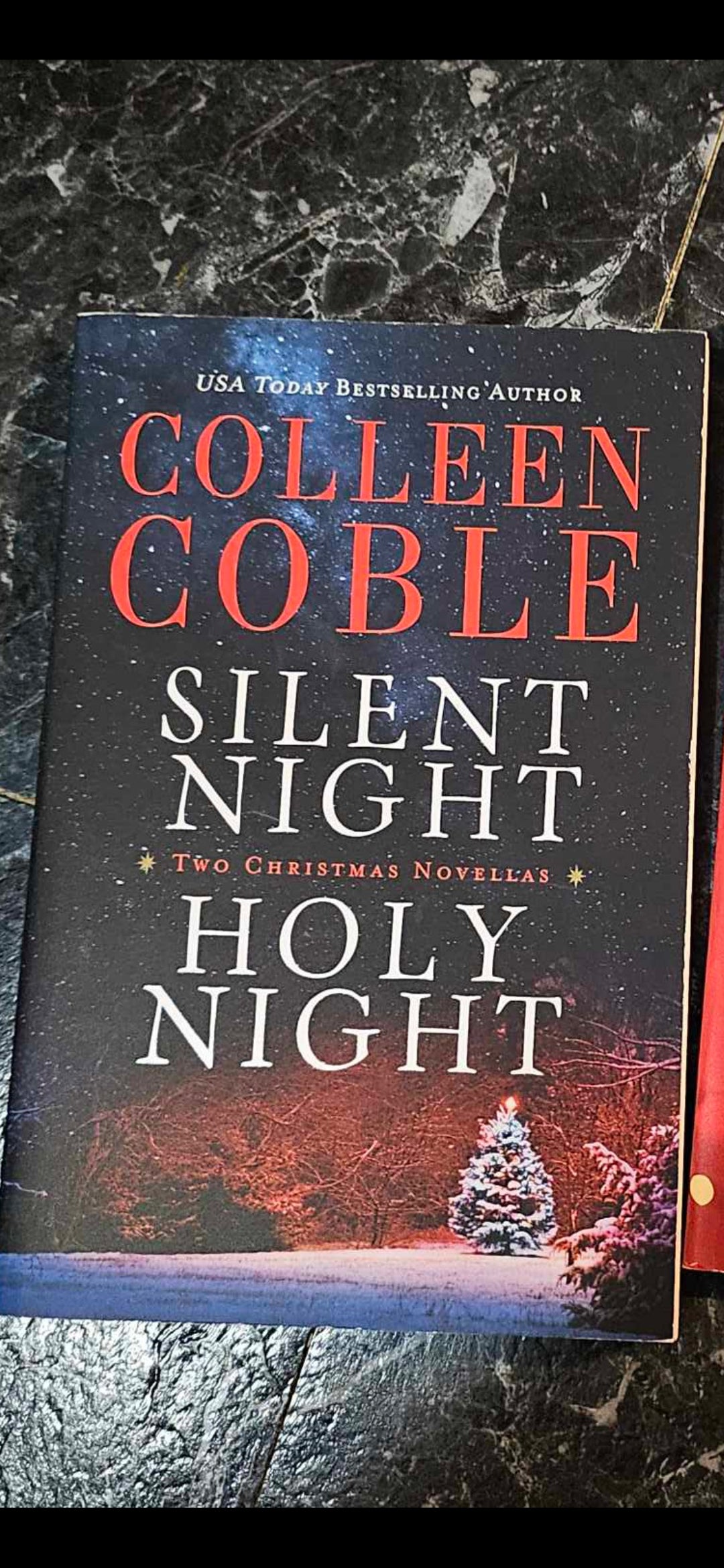 Silent Night and Holy Night 2 Christmas Novels by Colleen Coble