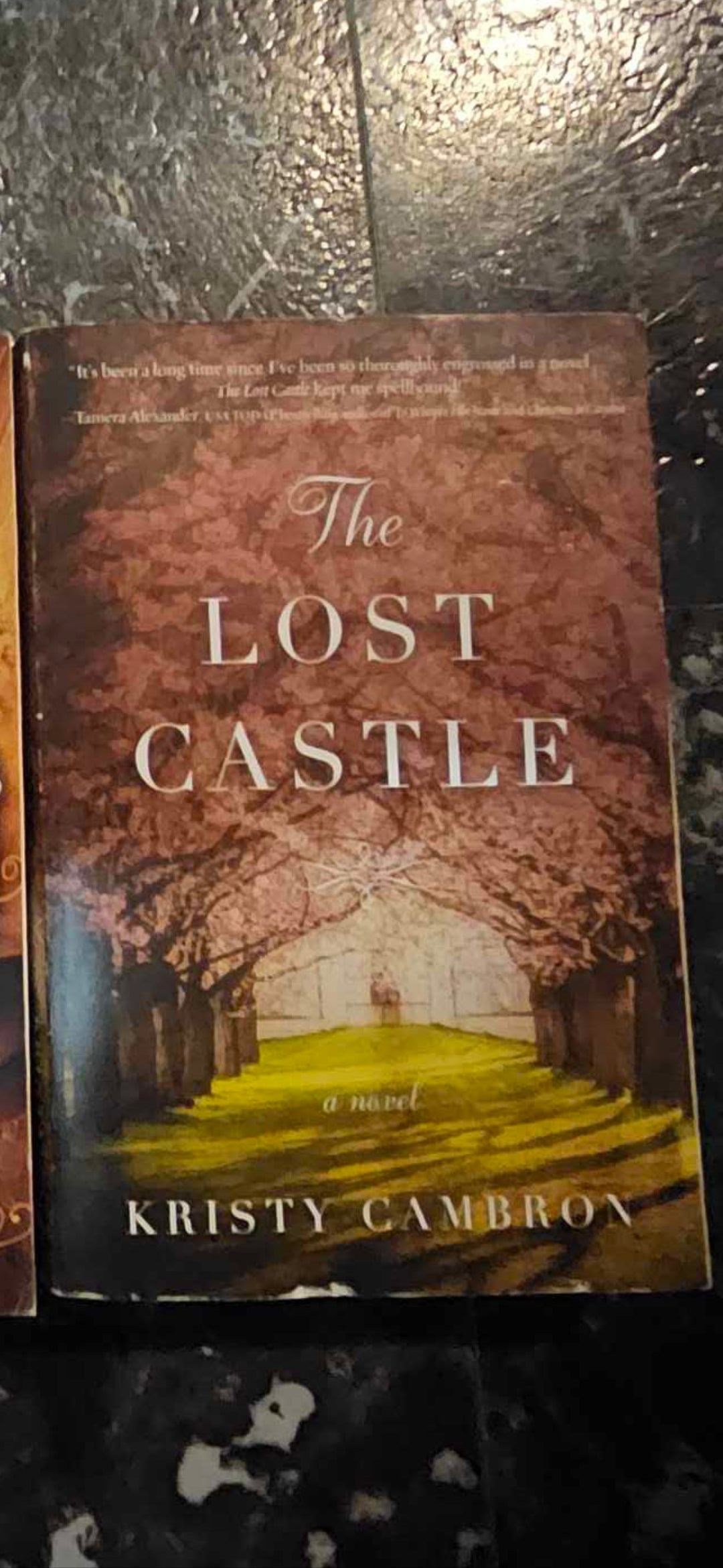 The Lost Castle 
Novel By: Kristy Cambron